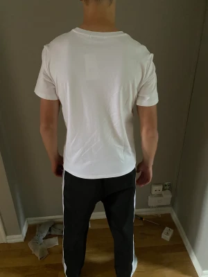 Ralph Lauren T-shirt - Vit tröja Ralph Lauren tröja, som är riktigt snygg inför sommaren. Han på bilden är 180cm lång.