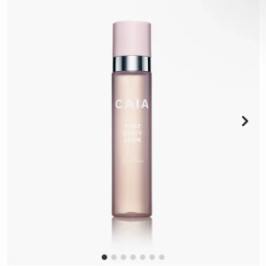 Caia settingspray  - Säljer en helt ny oanvänd that dewy look från Caia🩵nypris 245