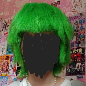 Crusty Green wig - !TRYCK INTE PÅ KÖP NU!Grön peruk använd till KEROPPI. kan mötas upp på ncv eller i Hudiksvall. Köparen står för frakt. Köpt på Amazon för 350kr. Jag kan styla den men då blir det 50 kr extra. Kan byta också, använd typ 6 gånger, 1 gång på närcon:D