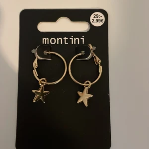  Örhängen  -  gjord av guld 