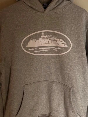Grå hoodie med vit tryck - Säljer en grå hoodie med stor vit grafisk tryck på bröstet som föreställer en byggnad i en oval ram. Hoodien har klassisk känguruficka och huva. Perfekt för dig som gillar enkel men snygg streetwear-stil.