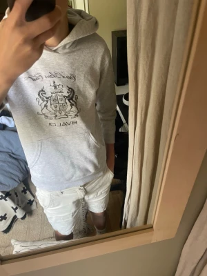 Grå hoodie med tryck från BVALDI - Säljer denna riktigt snygga hoodien från bvaldi då den blivit för liten. Hoodien har klassisk känguruficka och huva. Perfekt för en chill och avslappnad stil. Hör av er vid frågor och priset kan diskuteras vid snabb affär💨