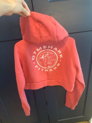 Gymshark hoodie cropped - Säljer en rosa cropped hoodie från Gymshark med stor vit logga och texten 'GYMSHARK FITNESS' på ryggen. Hoodien har huva med dragsko och är tillverkad i mjukt, fleeceliknande material. Perfekt för gymmet eller chill dagar.