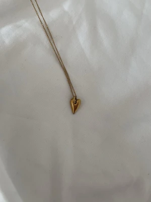 Edblad halsband guld  - Säljer ett supergulligt guld halsband från Edblad då det inte kommer till användning🩷Använd fåtal gånger och orginalpris är runt 349kr🥰