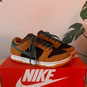 DUNKS - DUNKS LIMITED release! Storlek 41