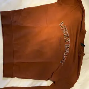 rostfärgad sweatshirt med ett tryck på. från h&m i storlek xs