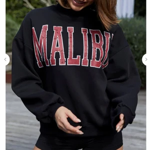 Sweatshirt  - Säljer denna knappt använda sweatshirt från Chiquelle, nypris 399kr💫