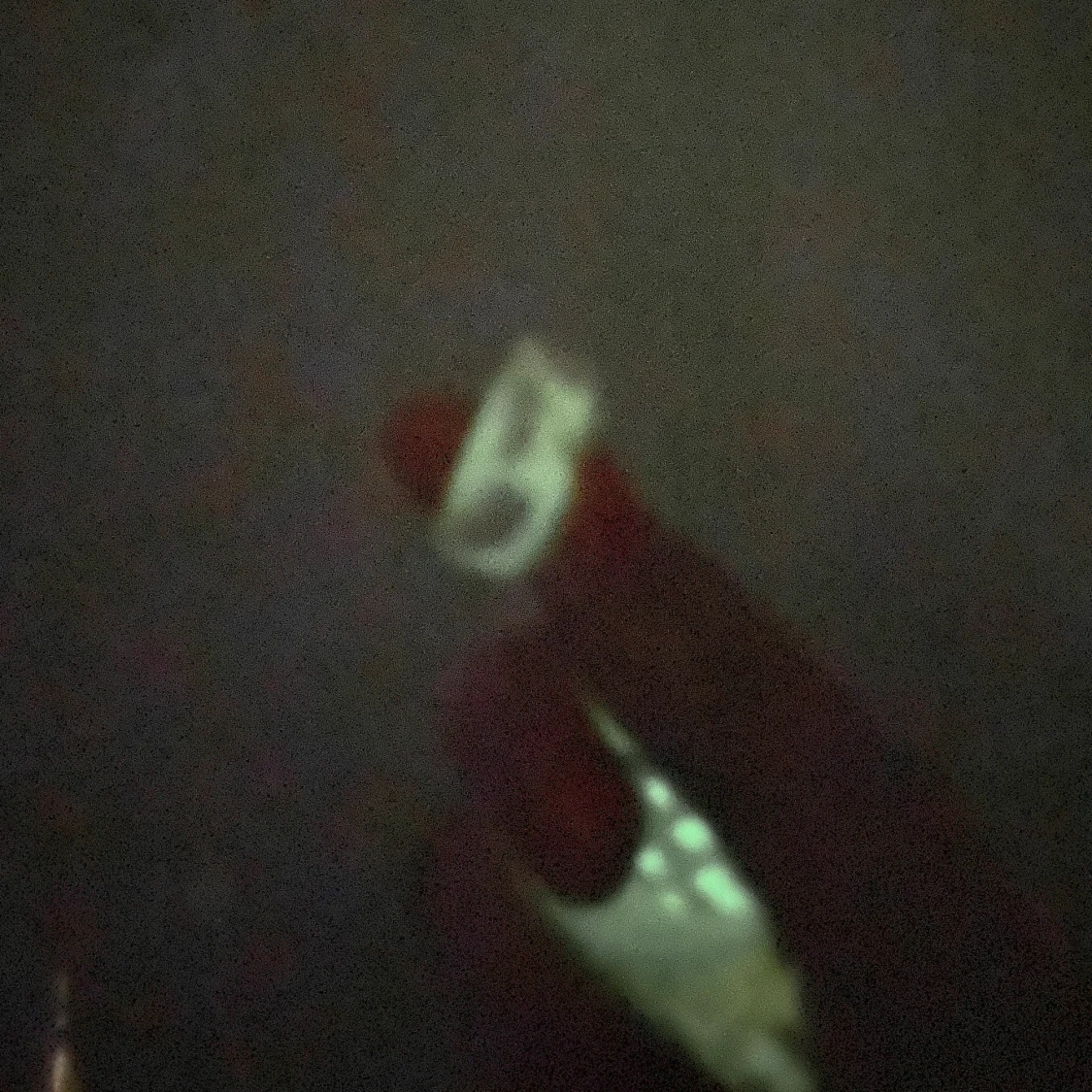 Cow print ringar - 91