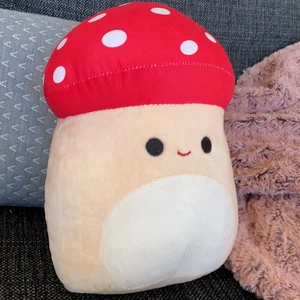 Squishmallows squishmellow squishmallow - Helt ny squishmallow svamp! Från utlandet. Tyvärr utan lapp/tag. Blev väldigt dyr med tull och frakt nypriset blev över 350kr och nu säljer jag den där 250kr man kan pruta! Vi pratar om frakten. Skicka till mig om du är intresserad!💕
