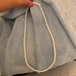 halsband - Kom aldrig t användning❤️ om flera är intresserad så gäller bud❤️