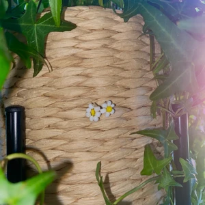 Örhängen - Små örhängen som är som små blommor som kostar 20kr+12kr frakt✨💛