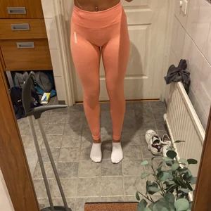 Gymshark thights  - Jätte snygga och sköna gymshark leggings. Deras nyaste släpp och inte använda😍 kostar 599 men jag säljer dom för 275kr💘💘 Jag är 171cm