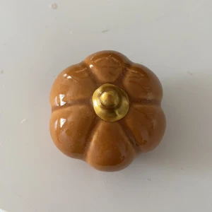 Pumpa - En liten pumpa jätte fin.   NI STÅR FÖR FRAKTEN 