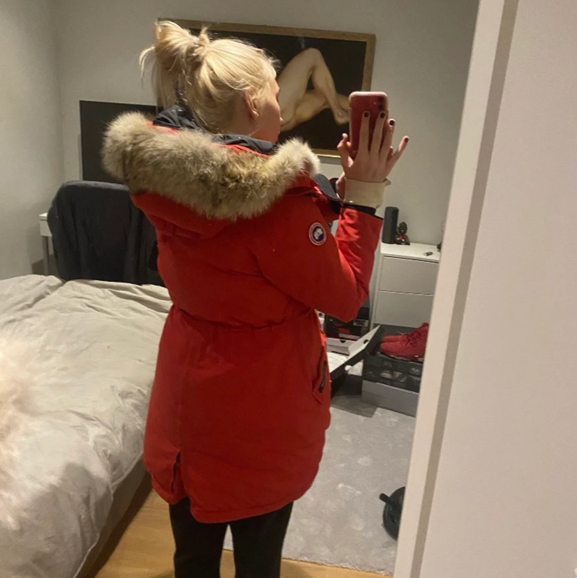 Canada goose (pris kan diskuteras vid snabb affär) - 91