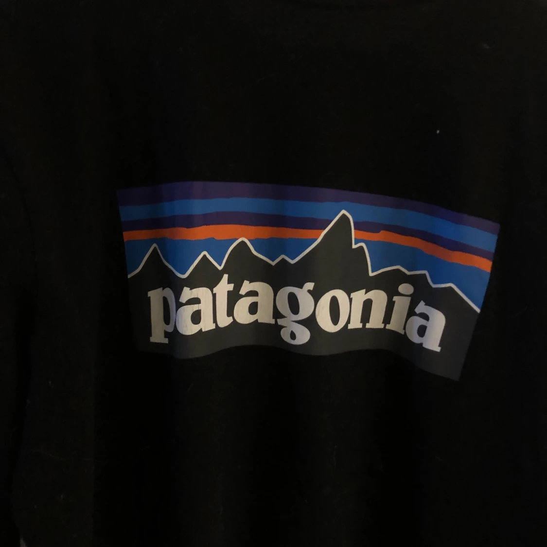 Patagonia tröja