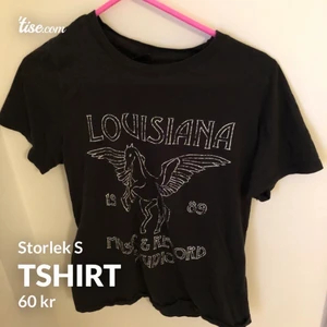 Gina tshirt - En tshirt ifrån gina