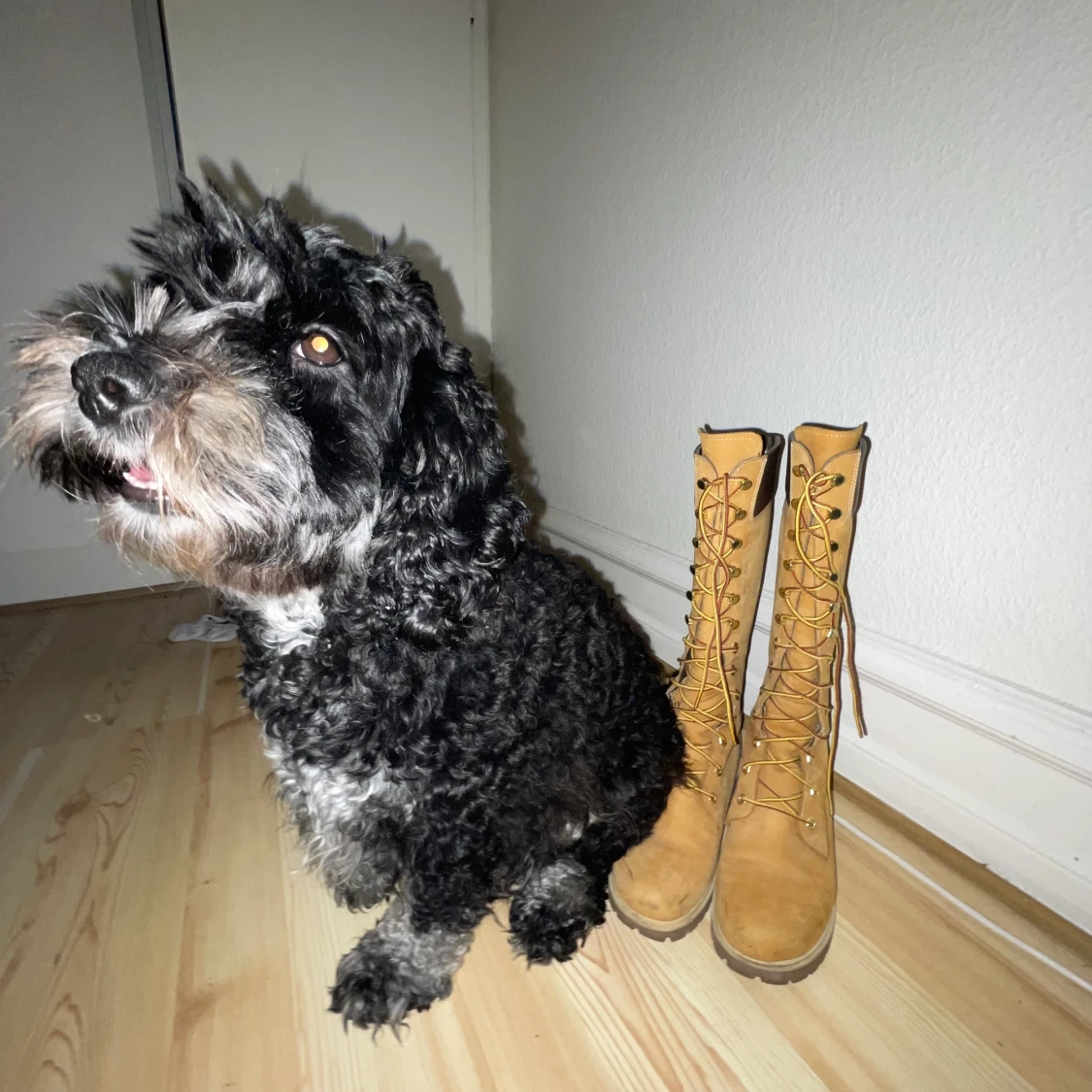 Beiga höga timerland  - 91