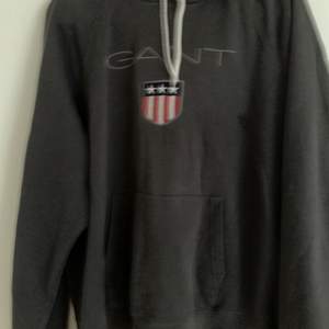 4xl Gant Hoodie, Grå 