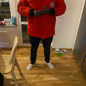 Canada goose - Jag säljer en jätte fin canada goose som jag vill bli av med då färgen inte passar mig