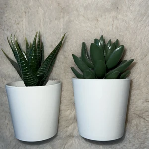 Ikea Fake växter  - Fake mini växter från Ikea. Hade en till och alla tre köptes för 49. Betala 20 för en och 39 för båda. 