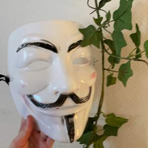 Fin anonym mask