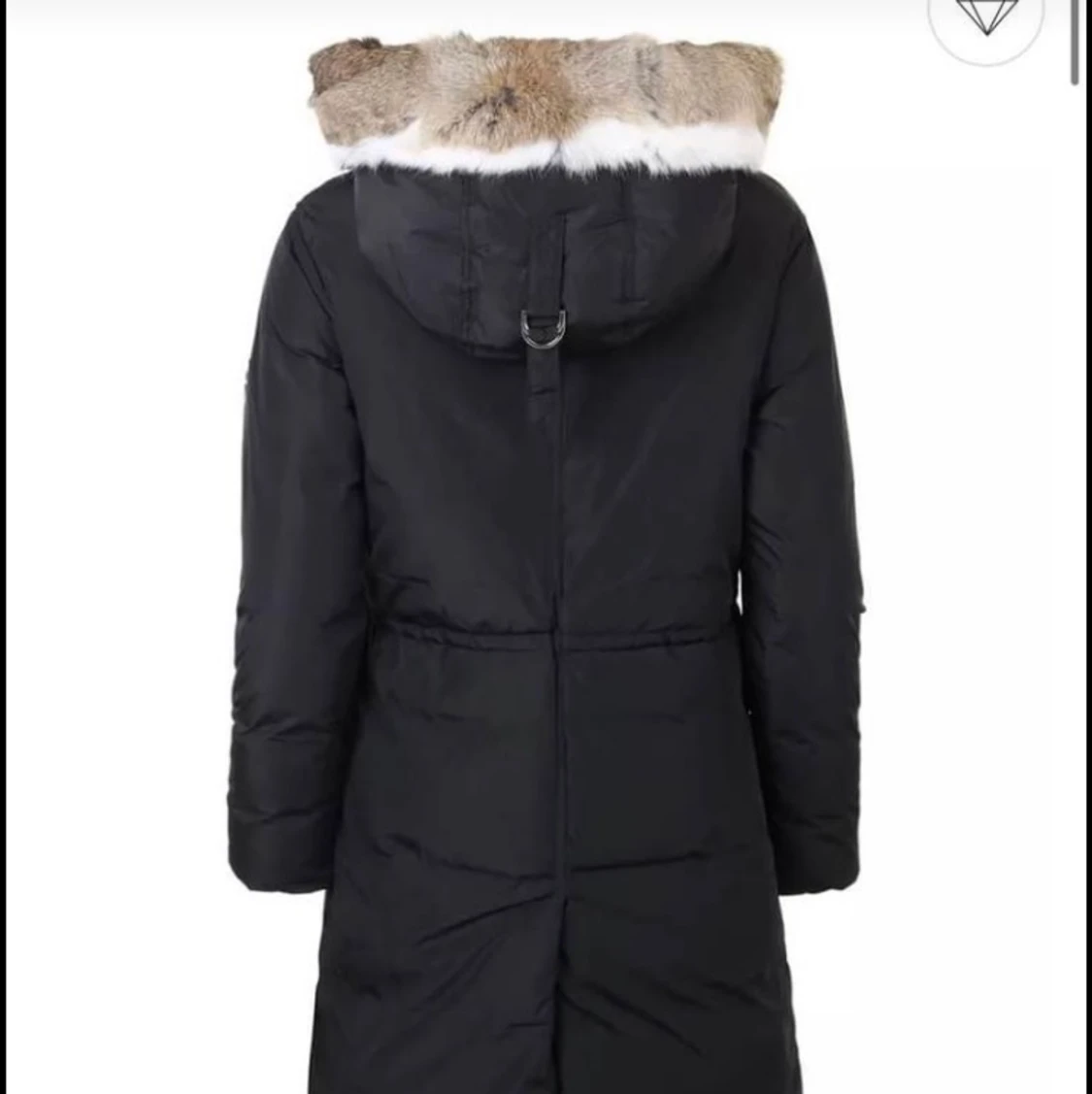 Powder mountain hollies - 91