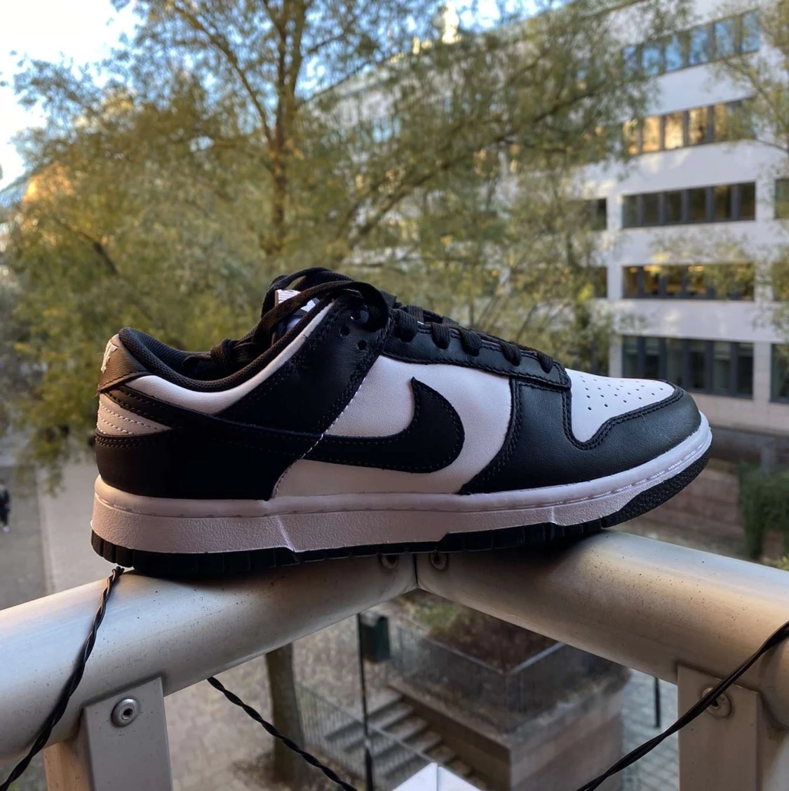 Nike dunk low panda 