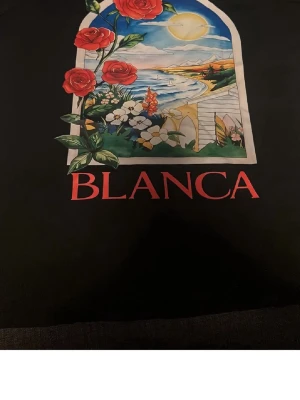 Svart t-shirt med tryck från Blanca - Svart t-shirt från Blanca med färgglatt tryck framtill som visar rosor, blommor och ett landskap i fönsterform. T-shirten har rund hals och korta ärmar. Perfekt för dig som gillar unika prints och vill sticka ut lite extra.