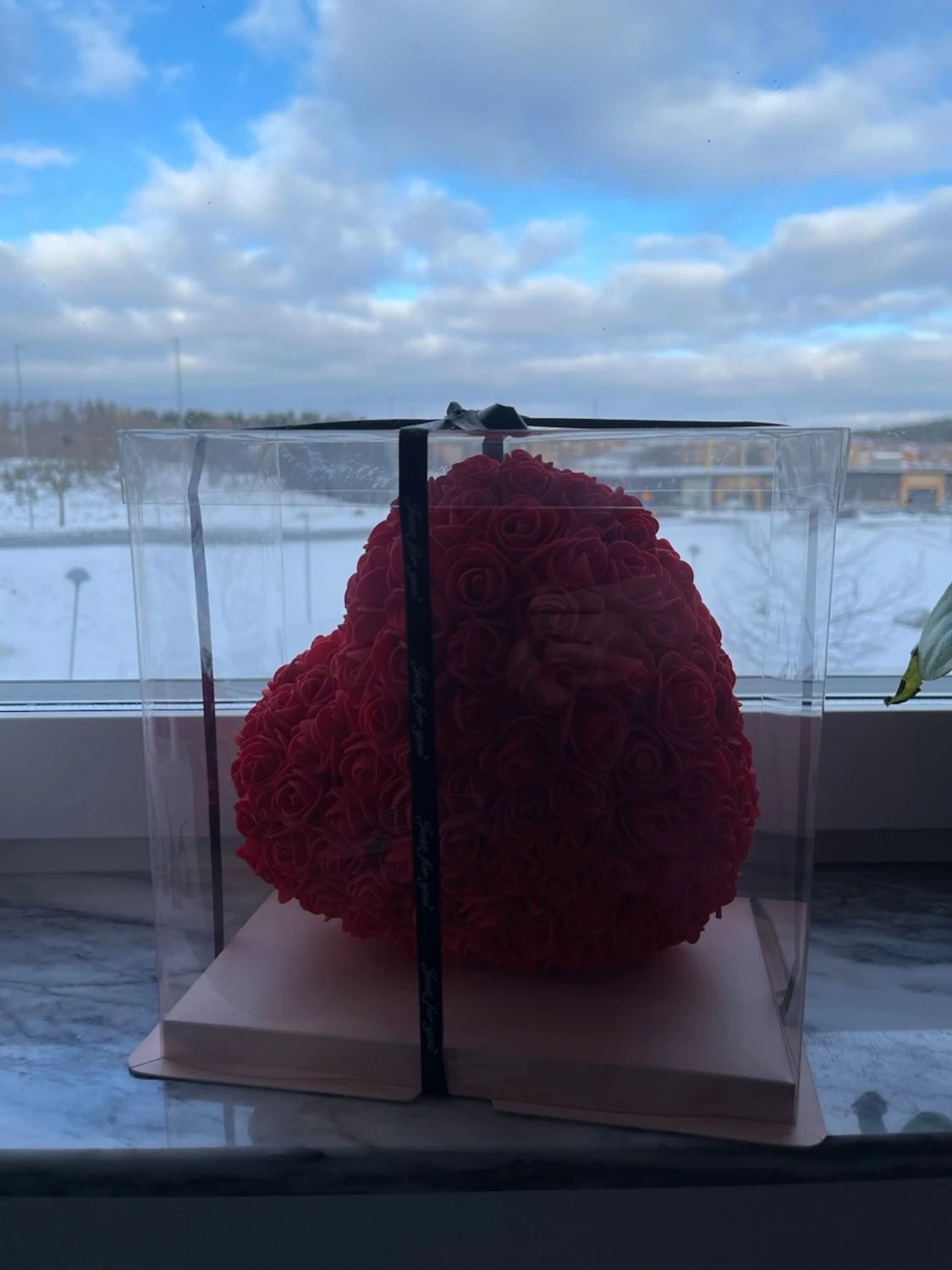 Hjärta av röda rosor i presentbox - 2