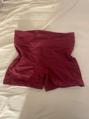 Vinröda sömlösa cykelshorts - Säljer ett par vinröda sömlösa cykelshorts med hög midja och ventilerande meshpanel bak. Stretchigt material som sitter skönt och följer kroppen, perfekta för träning eller chill. Inget synligt märke.