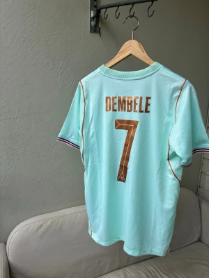 Frankrike Away Kit 2026 - Helt ny Frankrike tröja som aldrig kommit till användning. Vart dum och tog bort prislappen när jag fick hem den. Himmelblå färg och guld Frankrike logga.  