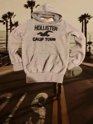 Hollister hoodie - Slimfit i passform! Det står XXL i etiketten men den är som en S kolla och jämför med måtten! Superfin vintage tröja i bra skick! Skriv till mig vid eventuella frågor jag svarar snabbt!