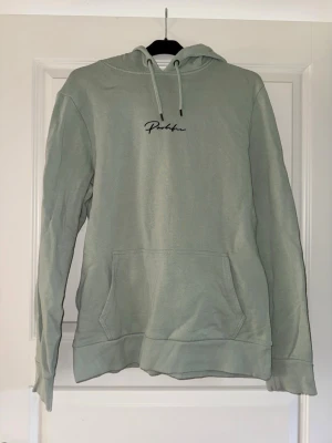 Ljusgrön hoodie - Ljusgrön hoodie från River Island. Bra skick, nästan aldrig använd. 