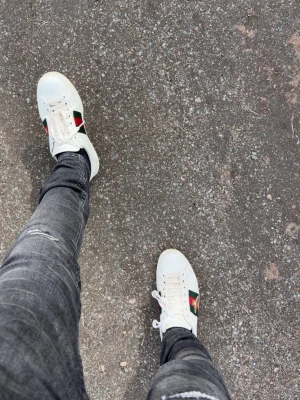 Gucci ace - Gucci ace skor storlek 42,5 haft dom i 3 månader dustbox kvitto och låda kommer med! Skorna är i mycket bra skick,skicka meddelande om du undrar något 