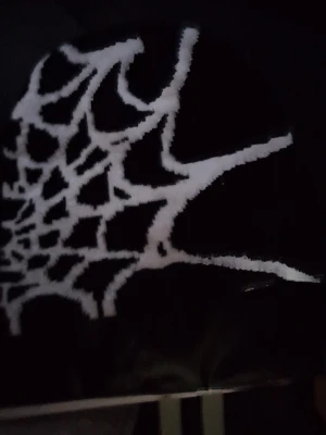 Svart mössa med spindelnätsmönster - Säljer en svart mössa med ett stort vitt spindelnätsmönster på sidan. Mössan är stickad och har en cool, edgy vibe som passar perfekt till streetwear eller för dig som gillar alternativa stilar. Materialet känns mjukt och bekvämt mot huvudet.