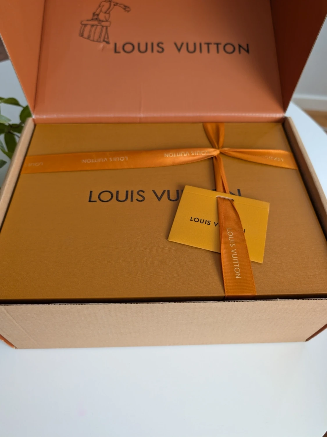 Iouis Vuitton Diane Monogram 🤎 - 1