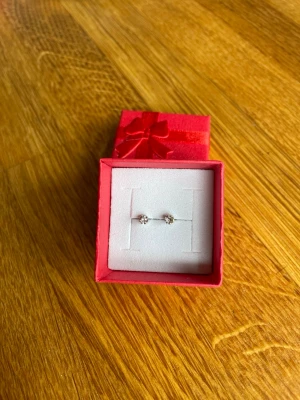 Små örhängen med sten - Söta små örhängen med gnistrande  stenar  i mitten. . Örhängena är silverfärgade och levereras i en röd presentask med rosett. Perfekta för dig som gillar diskreta men eleganta accessoarer.