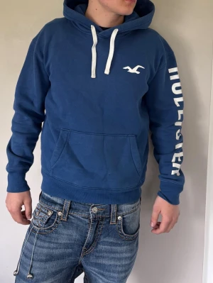 Hollister hoodie - Snygg hollister hoodie, inga skador, storlek S
