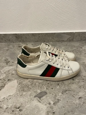 Gucci Ace - Gucci Ace || Storlek 41  innermåttet är 26,8cm || Skorna är i okej skick, vänster innersula är sprucken (se bilder) || Mitt pris 1299kr || Tveka inte på att höra av dig vid frågor eller funderingar 