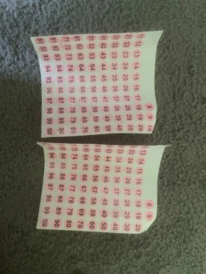 Nagelvisare och nummerstickers - Ett set med genomskinliga nagelvisare i plast och ark med rosa nummerstickers från 1 till 100. Perfekt för att visa upp nagellackprover eller organisera färgkollektioner. Nagelvisarna har oval form och är klara för att målas eller dekoreras.