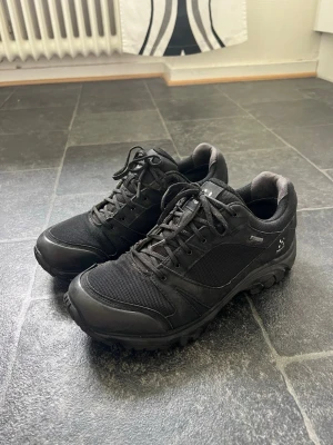 Svarta sneakers från Haglöfs - Svarta sneakers från Haglöfs med robust sula och meshpaneler för extra ventilation. Skorna har klassisk snörning och diskret logga på sidan. Perfekta för dig som gillar en sportig och stilren look. Materialmix av textil och syntet.