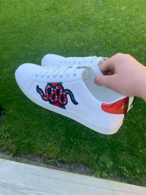 Gucci Ace Vita/orm - Tjena säljer ett par Gucci Ace med en orm på. Skick 10/10. Storlek 43. Säljs för 1699. Snabbt affär 1499. Svarar på alla frågor! ‼️👍
