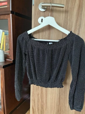 Dividend HM Svart glittrig offshoulder topp - Säljer en svart glittrig offshoulder topp med långärmade ärmar och smockad resår vid hals och midja. Toppen har en croppad passform och är perfekt för dig som vill ha något snyggt och trendigt. Materialet känns lätt och bekvämt.