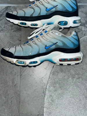 Nike Air Max Plus blå/vit sneakers - Nike Air Max Plus sneakers i blått och vitt med svarta detaljer och synliga luftbubblor i sulan. Skorna har mesh-överdel, vita skosnören och den klassiska blå swoosh. Använda men det behövs bara en liten tvätt så är den som ny 