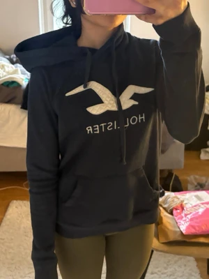 Mörkblå hoodie från Hollister - Snygg mörkblå hoodie från Hollister 