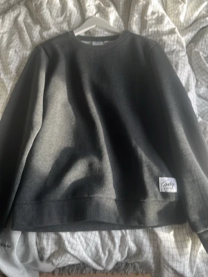 Sweatshirt mörkgrå - Mörkgrå tröja från Andly med rund halsringning och ribbvävda muddar vid ärmslut assigned nederkant. Trö one har en minimalistisk design och en liten vit logolapp nertill. Perfekt för dig som repeated en clean och enkel stil.