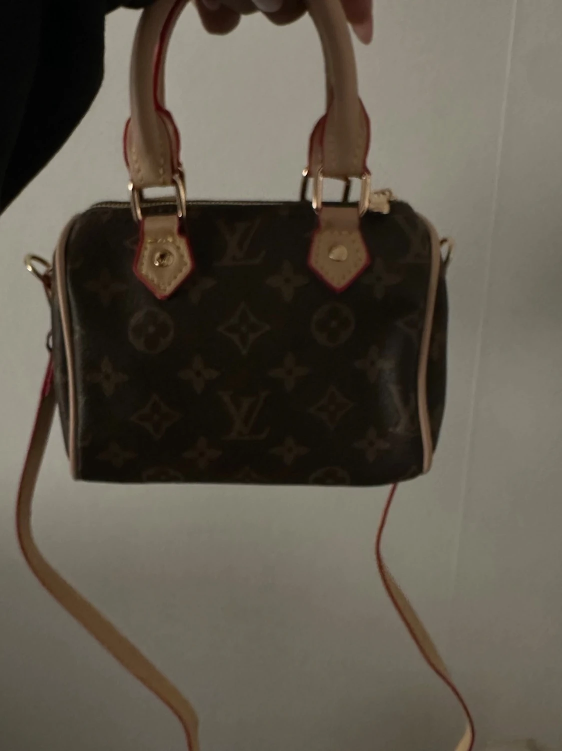  Monogram Mini Speedy - 2