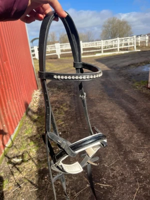 Häst utrustning  - Säljer ett svart träns,men silvriga stenar