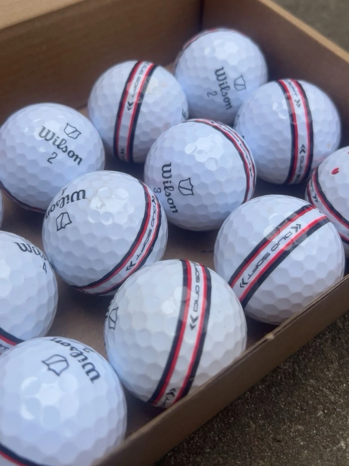 Wilson Staff stripe 12-pack - 1