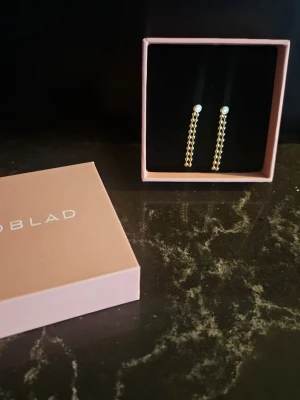 Edblad Sonic Earrings Gold - 1 par Sonic Earrings Sonic Gold fråd Edblad. I nyskick. Ask medföljer.  Jag säljer också Sonic Earrings Steel i en annan annons